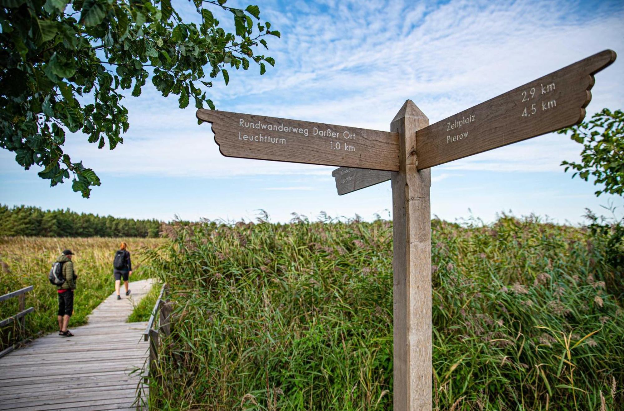 Kranichtanz An Der Seebruecke Zingst Buitenkant foto