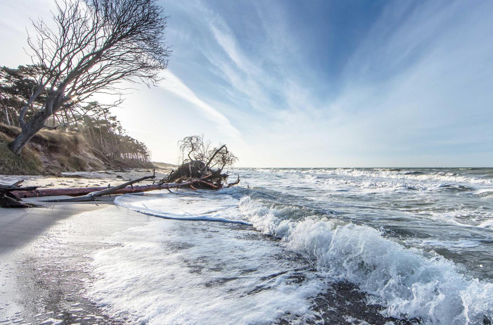 Kranichtanz An Der Seebruecke Zingst Buitenkant foto